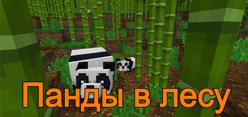 Сид на панд в лесу на Minecraft PE 1.11