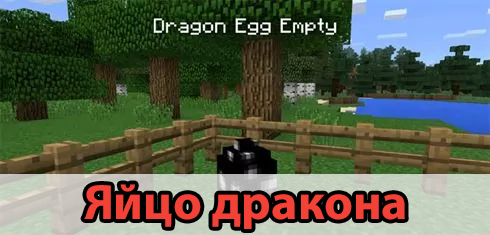 Яйцо дракона в моде на драконов на Minecraft PE