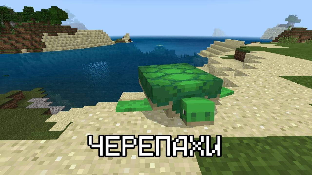 Черепахи в Minecraft Pocket Edition 1.5.0