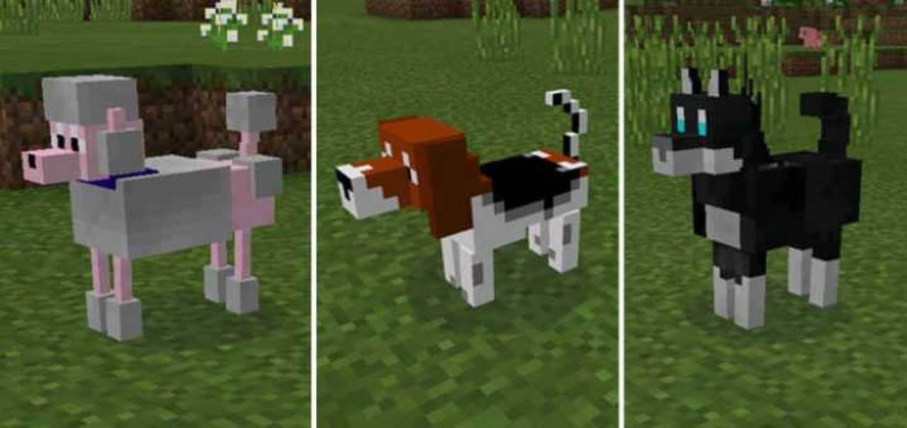Собаки из мода Догги для Майнкрафт ПЕ