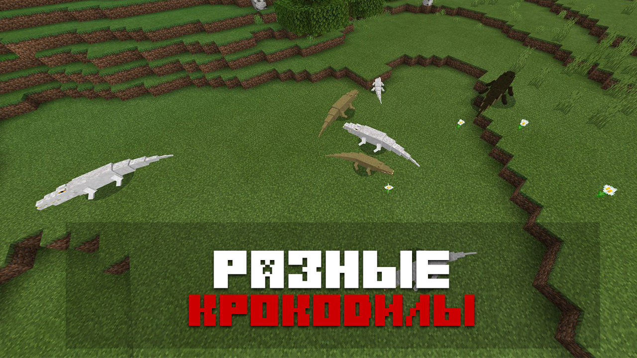 Мод крокодилы на Minecraft PE