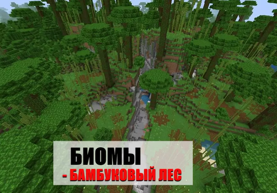 биомы майнкрафт Пе