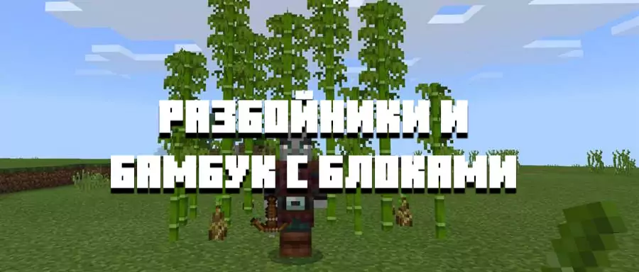MCPE 1.9.0.5: Village and Pillage часть 2