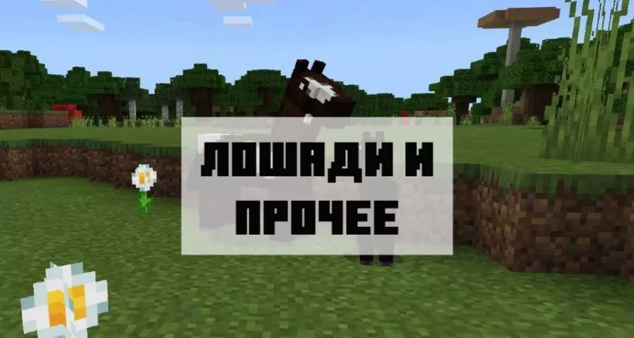 лошади в MCPE 0.15.1